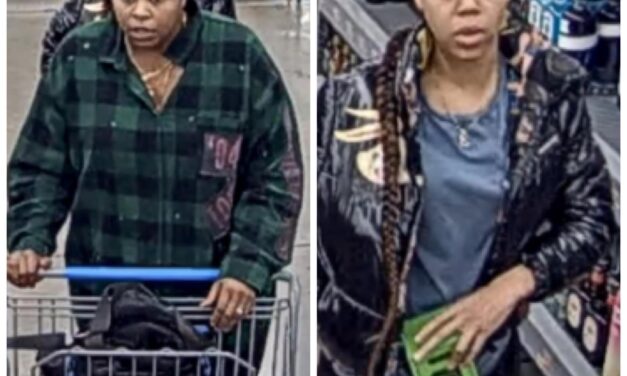 Need your help to identify these serial shoplifters