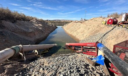 Reclamation releases Topock Marsh project timeline, addressing low water levels