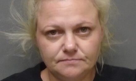 Woman arrested – child abuse report