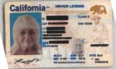 FAKE California driver’s license with the suspect’s photo