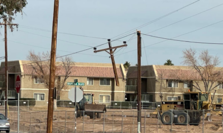 construction crew inadvertently struck a pole, causing a disruption