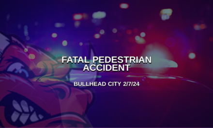 Fatal pedestrian accident