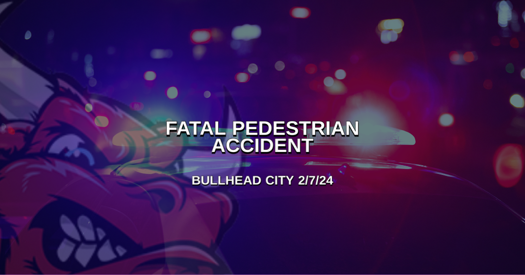 Fatal pedestrian accident