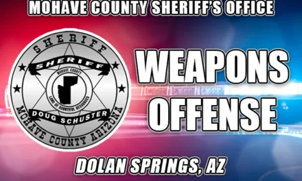 WEAPONS OFFENSE- DOLAN SPRINGS